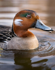 A serene sunset over a lake, reflecting vibrant colors and creating a peaceful, picturesque scene