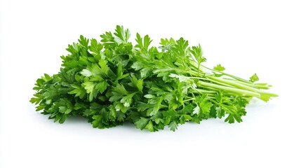 Fototapeta premium Parsley herb isolated on a white background