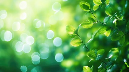 Fototapeta premium Abstract blurred background with a spring theme featuring vibrant green bokeh elements