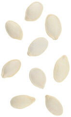 Scattered roasted pumpkin seeds isolated on a transparent background. Completely in focus. Top view.