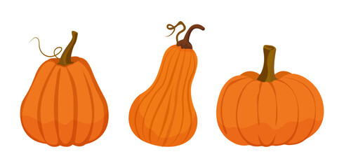 Vector set of three pumpkins of different shapes. Autumn pumpkin symbol for Halloween or Thanksgiving. Flat design. Orange pumpkin silhouette on white background.
