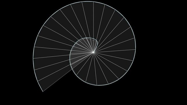 Animation of theodorus spiral