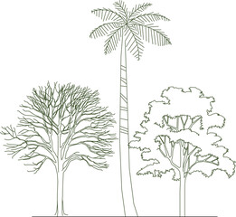 Obraz premium illustration design sketch complete vector image of plants and trees in parks and forests for greening in metropolis