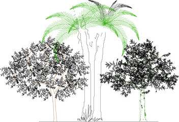 Fototapeta premium illustration design vector sketch image of tree plants in parks and forests for city greening