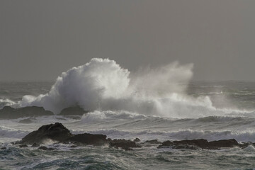Sea wave splash
