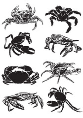 Graphical set of crabs on white background,vector illustration