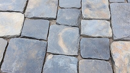 Obraz premium A beautifully formed cobblestone pathway curves gracefully through a vibrant garden by a contemporary home surrounded by lush greenery.