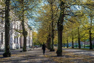 Unrecognizable people walk the Southern Promenade during autumn in Norrköping, Sweden. The...