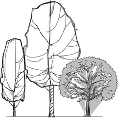 vector image design illustration of tree plants in parks and forests for city greening