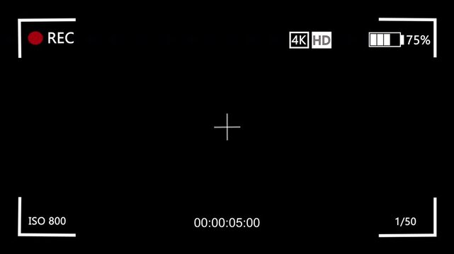 Illustrated frame of the video camera screen. 2D render.