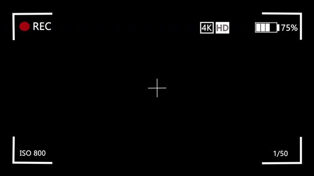 Illustrated frame of the video camera screen