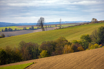 Fototapeta premium Beautiful colorful autumnal landscape with field, pasture and trees