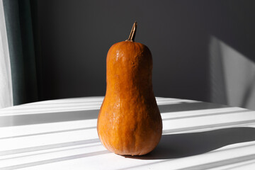 Orange Pumpkin on a White Table in Natural Light Side View
