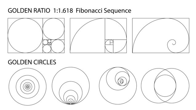 Golden ratio 1:1.618. Harmony proportions vector template. Editable stroke. Ratio used in design for well balanced proportion.