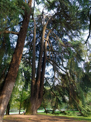 Parco Sempione, public park in Milan, Italy
