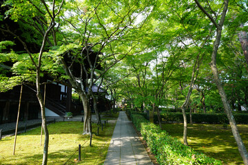 真如堂の境内風景