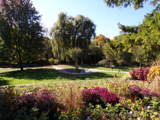 Fall landscape of the park