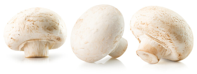 set of champignons isolated on a white background
