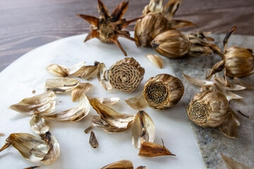 Close up of dahlia seed heads on a marble board