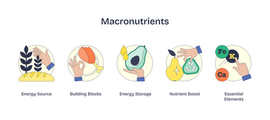 Macronutrients depicted with icons of bread, fish, and pear in a Neubrutalism style, transparent background.
