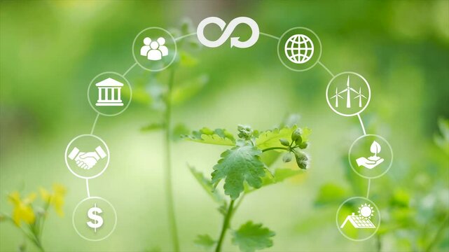 Circular economy, sustainability and sustainable development.Reusing,renovating and recycling.Circular economy concept. Energy consumption .Place for logo