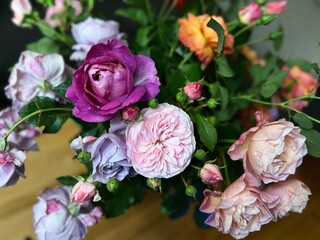 Roses