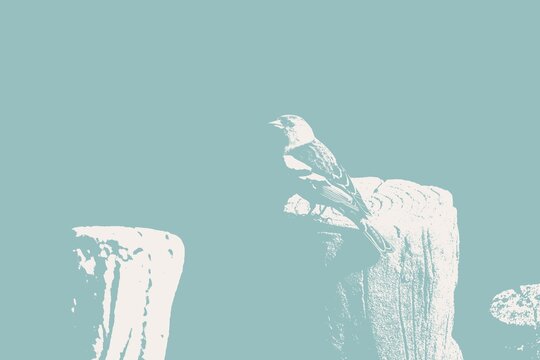 Petit oiseau pinson des arbres avec effet bichromie bleu menthe pastel et beige clair