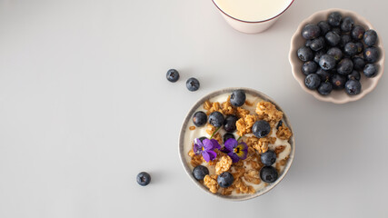A healthy nutritious breakfast of natural Greek yoghurts, granola and fresh berries. Copy space