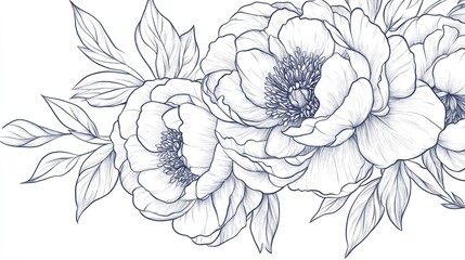 Peony Flower Line Art with Floral Frames and Bouquets Hand drawn Fine Line Illustrations featuring Leaves and Flowers Outline Botanical Coloring Page of Isolated Peony