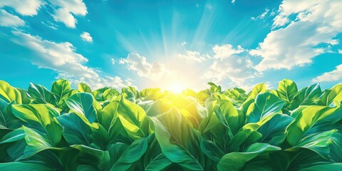 Obraz premium Lush greenery under a vibrant sky, Lush vegetation beneath a bright sky