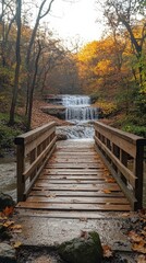 Fototapeta premium Wooden pathway through forest with autumn leaves and lakes