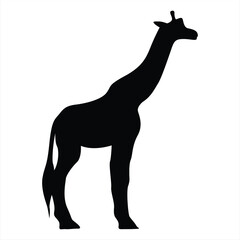 Giraffe silhouette. Giraffe black icon on white background. Perfect for Logo, Design, and More.
