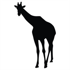Giraffe silhouette. Giraffe black icon on white background. Perfect for Logo, Design, and More.