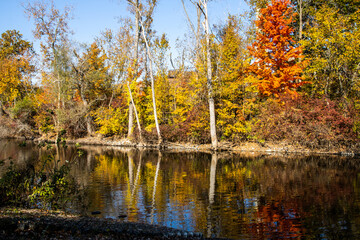 autumn in the park