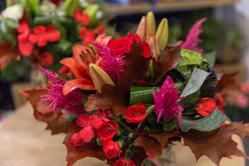 red and white flowers