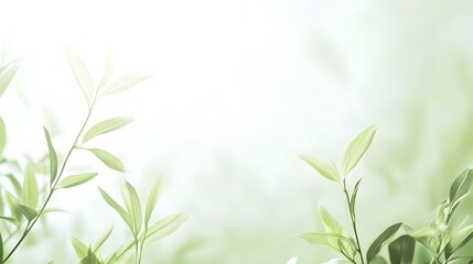 Obraz premium Soft Green Gradient Nature-inspired Calming Background with Plenty of Space for Text