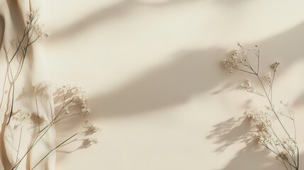 Minimalist Floral Composition with Soft Light and Shadows