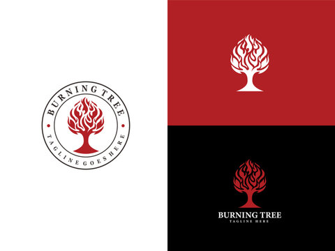 Tree with fire flame and budge emblem for classic vintage burning bush plant logo design