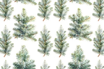 Obraz premium A group of evergreen pine trees standing close together