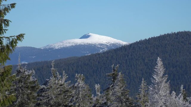 A distant view of the snow-covered Babia G&oacute;ra mountain peak surrounded by trees in the winter wilderness.
