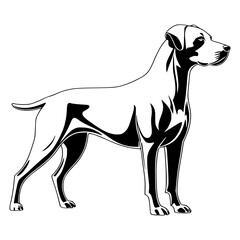 Pitbull dog silhouette vector isolated on white background 