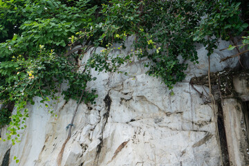Black white rock texture. Rough mountain surface. Stones texture and background. Surface of the...