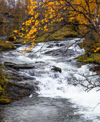A beautiful autumn landscape of rocky mountain river in Northern Norway. Seasonal scenery of Scandinavia.