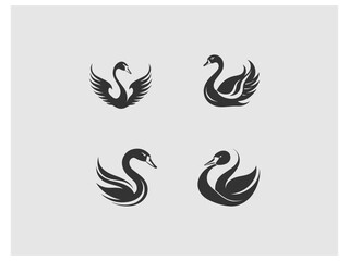 four images of swans and swans, are shown on a gray background vector, vector and illustration,