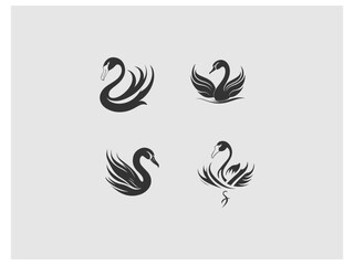 four images of swans and swans, are shown on a gray background vector, vector and illustration,