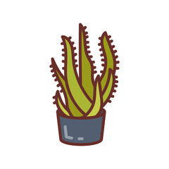 Aloe Veraicon Filled Icons , Vector illustration