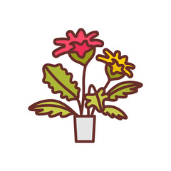 Gerbera Filled Icons , Vector illustration