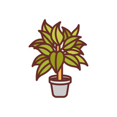 Chinese Evergreen Filled Icons , Vector illustration