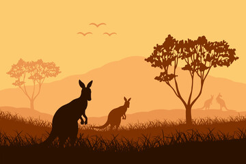 Australian Landscape Illustration Flat Design. Kangaroo In Savannah Illustration Art. Animal Scenery At Australian Safari Park.