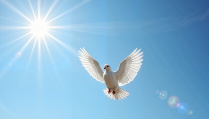 Fototapeta premium White dove soaring against a bright blue sky with sun rays creating a peaceful and serene atmosphere 